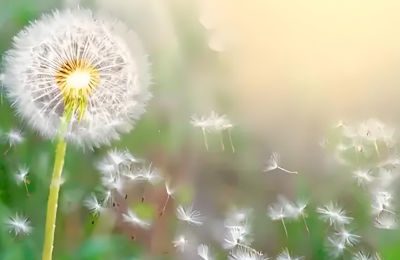 应对“情男”弊端：3个干货技巧守住感情边界