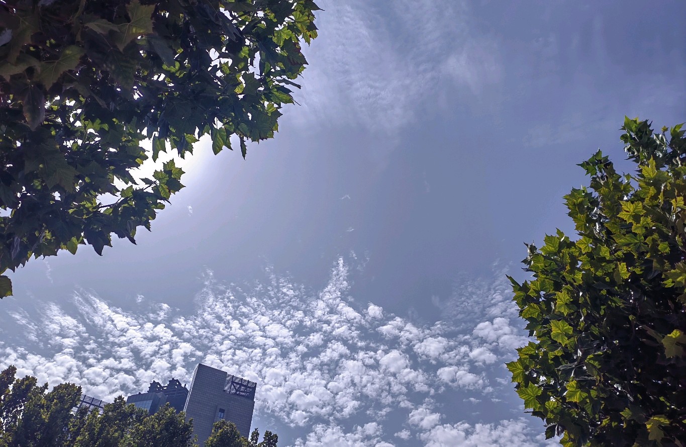 老公的好脸色为什么只留给外人