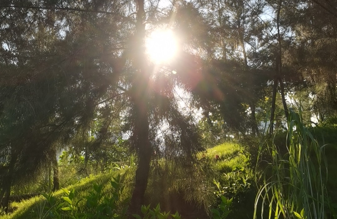 怎样营造良好的亲子关系？