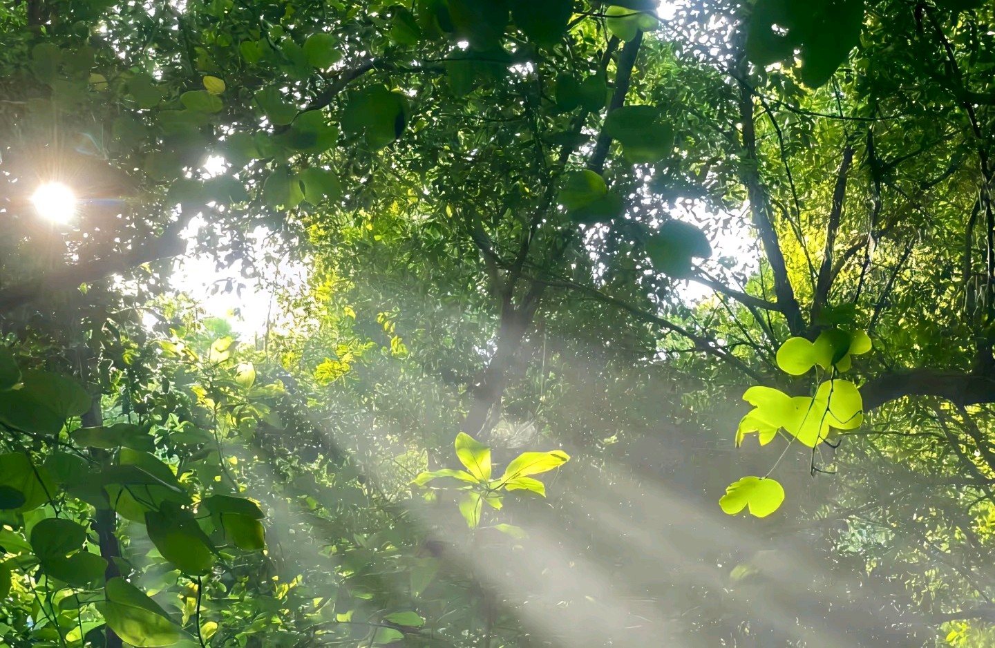 让大脑真正停下来的7个思路