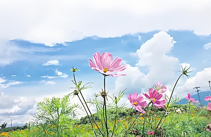 蝴蝶效应：用“小事”撬动恋爱幸福的3个实用方法