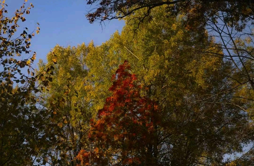 如何看待感知力强的人？