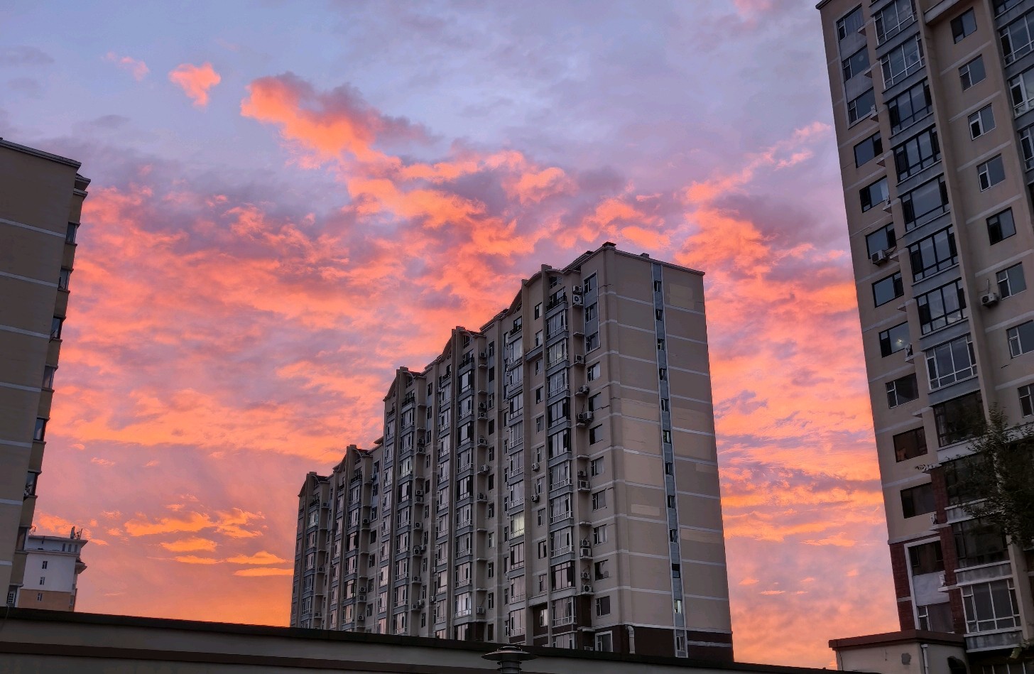 破窗效应：失序信号与行为暗示的扩散机制