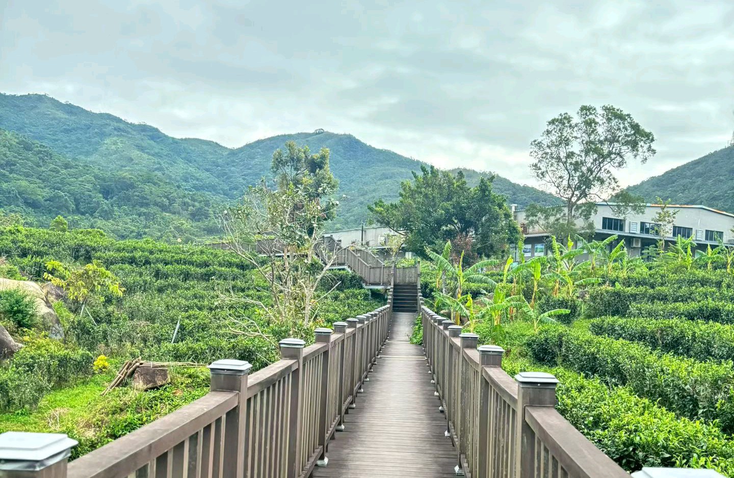 舒缓情绪：给心灵一场短暂的“深呼吸”