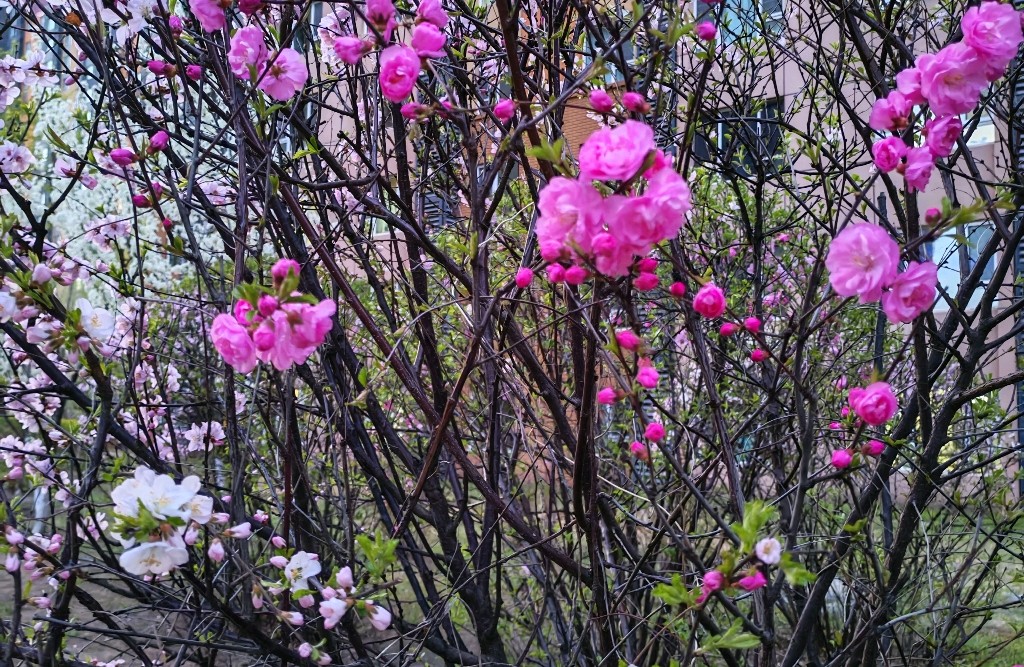 怎么写一篇深情并打动人的复合信