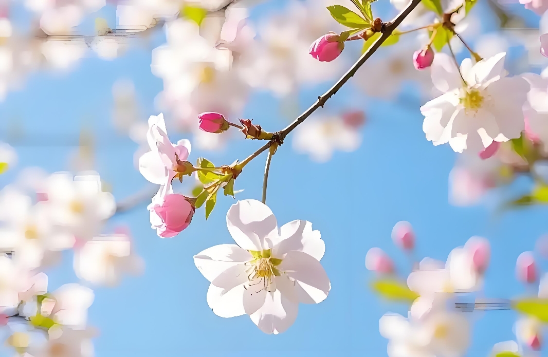 蝴蝶效应：恋爱里别轻视“微小选择”的力量