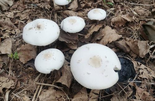 换种语气沟通，温暖孩子一生