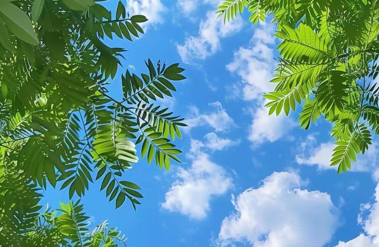 情感中的刺猬效应：3个距离把控技巧