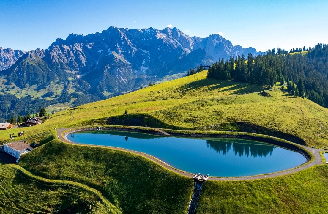 四种依恋类型及其对亲密关系的影响#你是属于哪种类型呢？