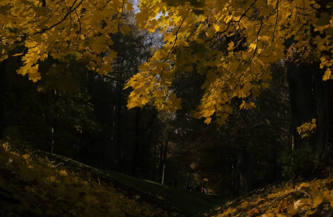 如何让自己在职场如鱼得水？