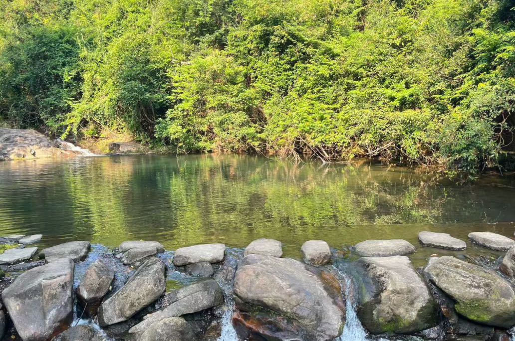 当焦虑像潮水涌来时，我靠三个小习惯慢慢找回了平静