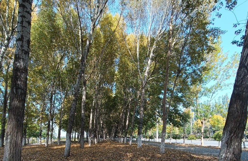 沟通不畅该怎么改善？