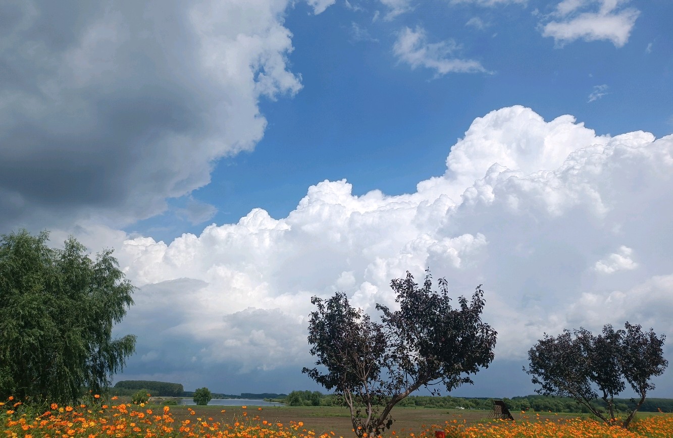 性格差异大的情侣如何相处？