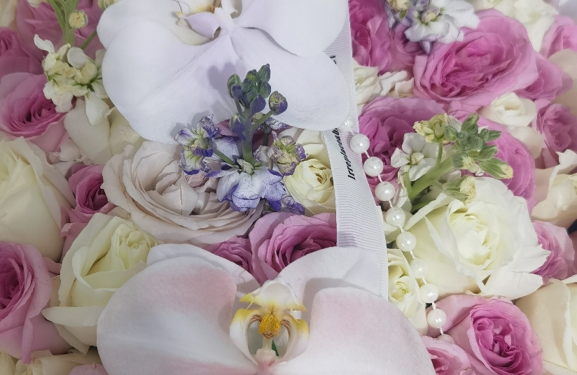 爱情需要双向奔赴