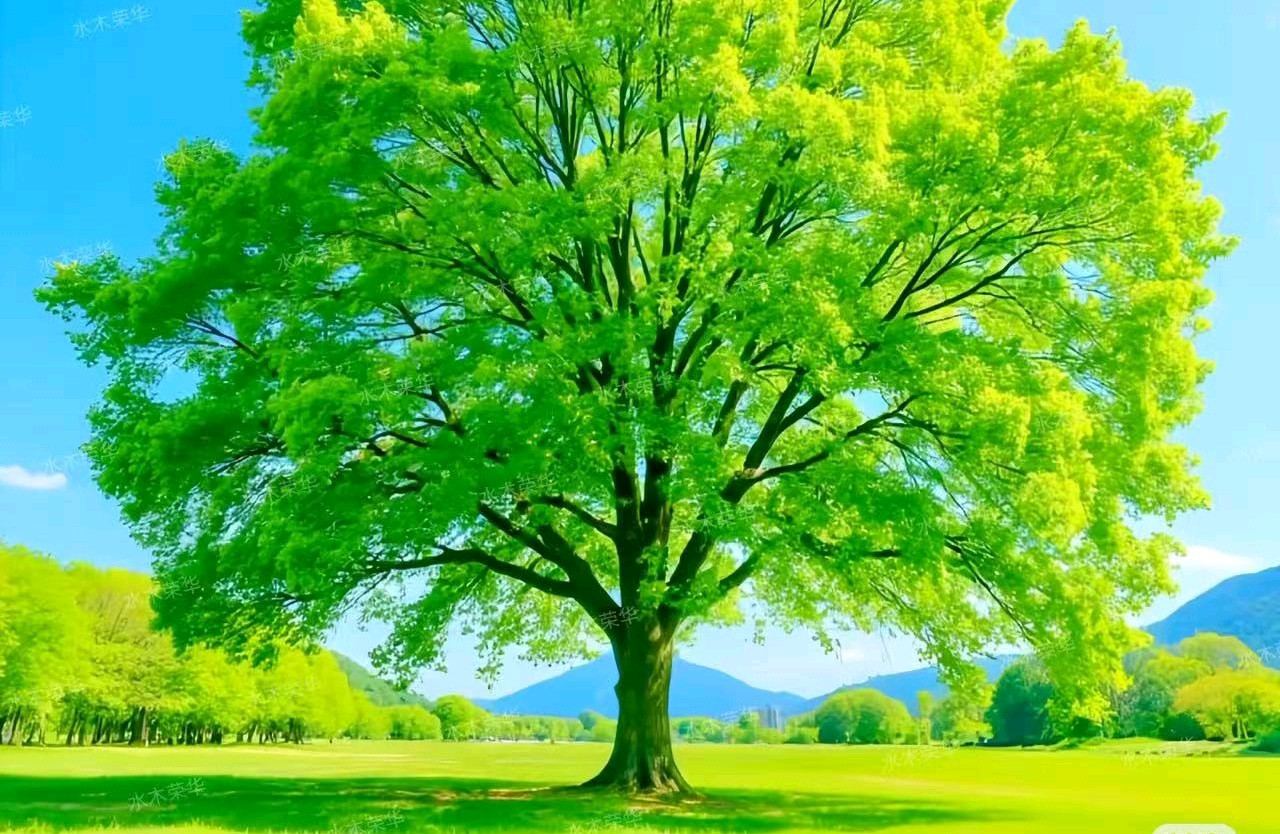 做一个内核稳定设快乐的人：需要两个原则