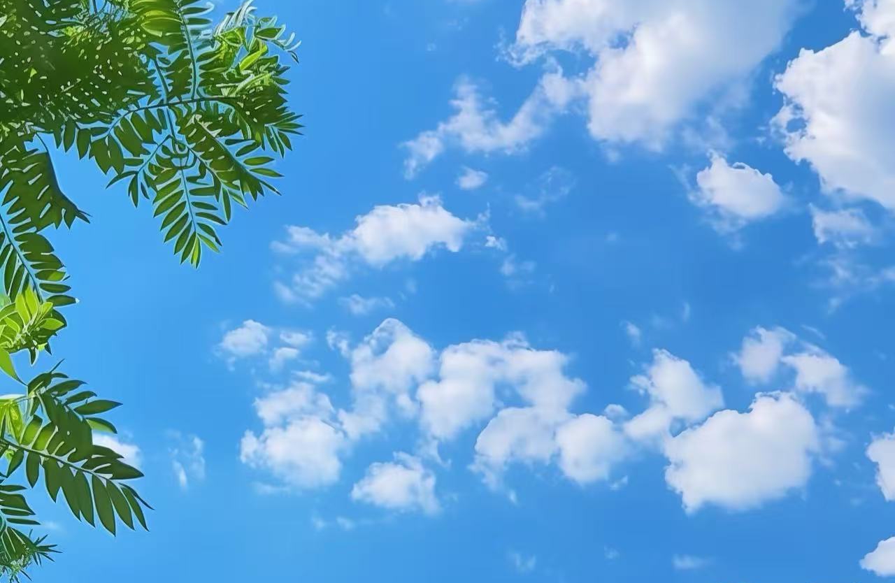 用“情感联结”破解孩子“不听教”五条教养原则