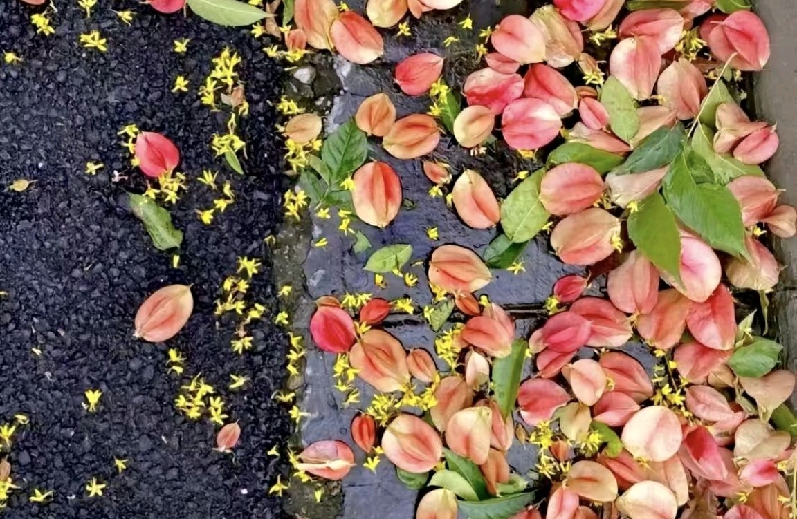 情绪背后的秘密