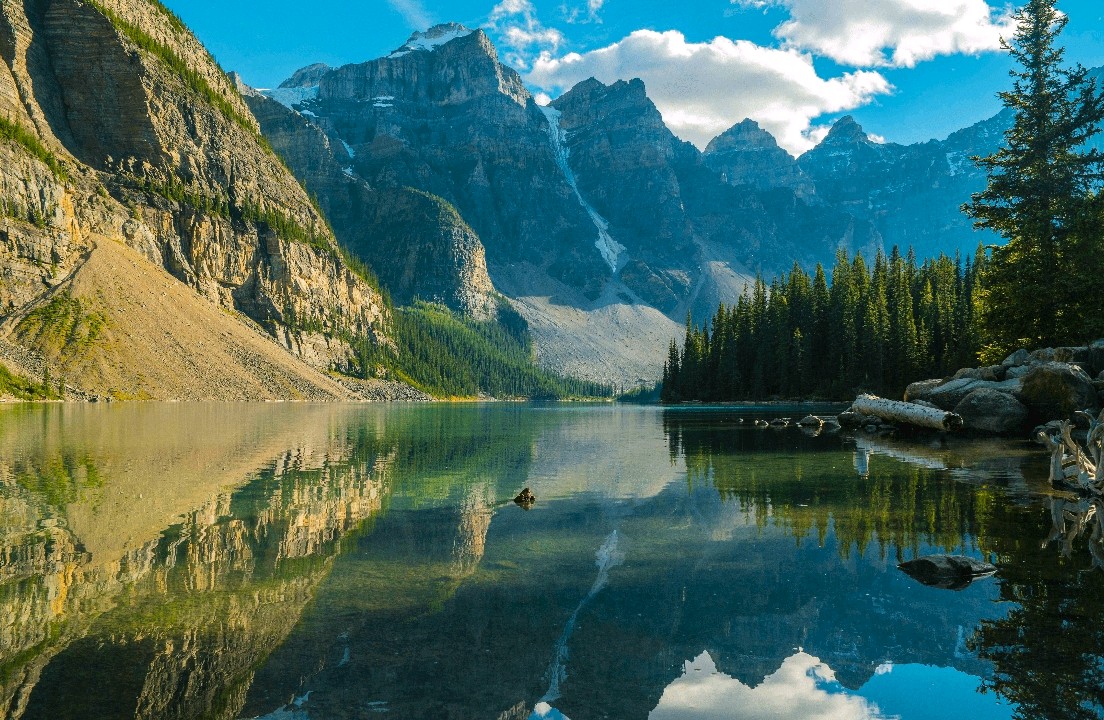 五个心理学角度的高效原则#你最近学习工作效率怎么样呢？