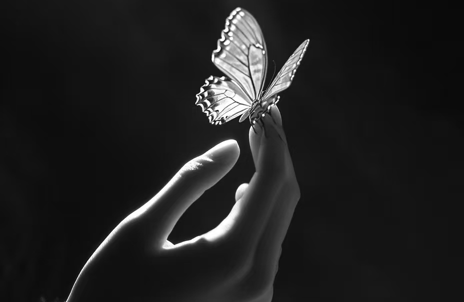 梦境深处的密语：四个照亮现实的心理启示