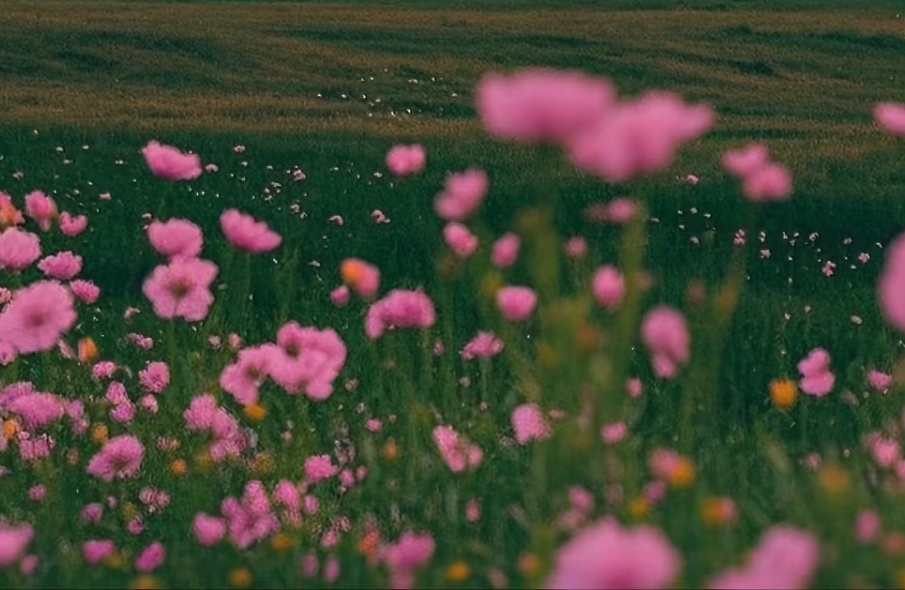 关系破裂，如何真正修复？