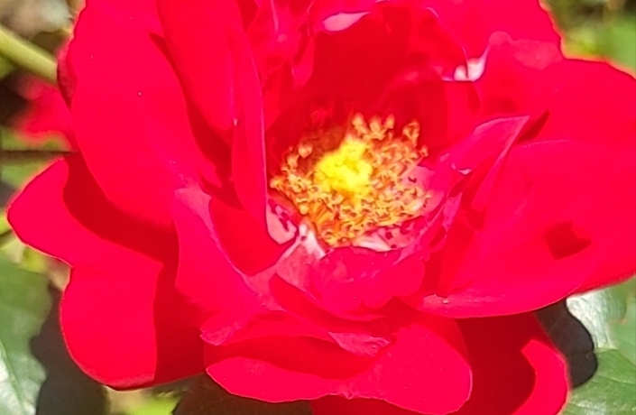 不必时时坚强，给自己内心放个假，