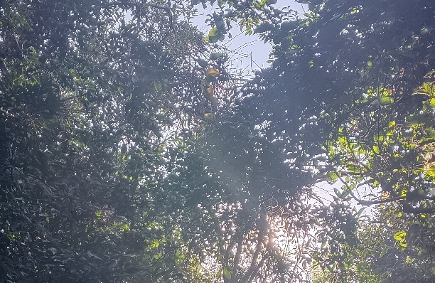 夫妻情感升温的技巧