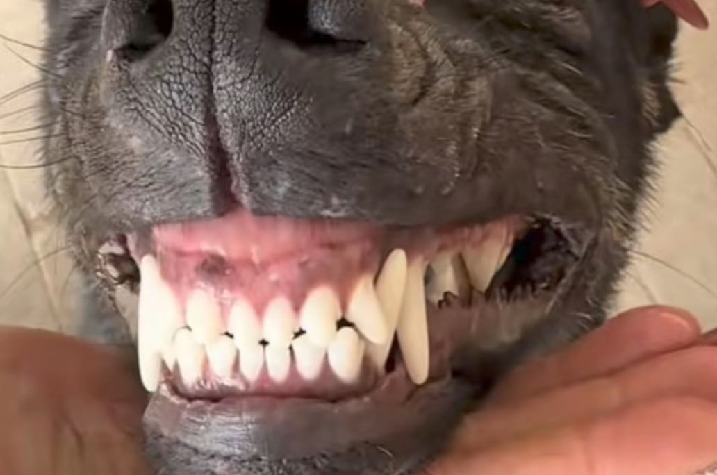 被焦虑裹挟时，如何自我救赎