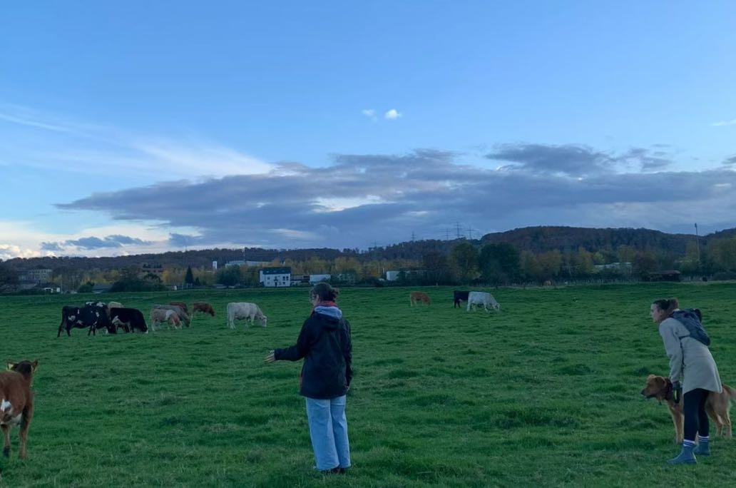 每次说“我都行”后，我终于学会对朋友说“其实我不想去”