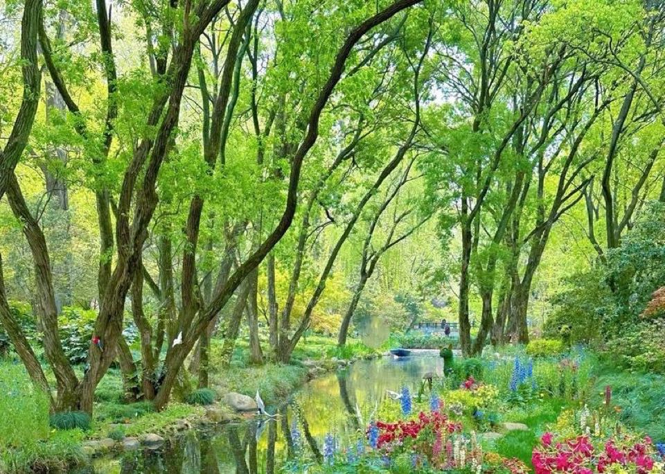 孩子叛逆的根本原因