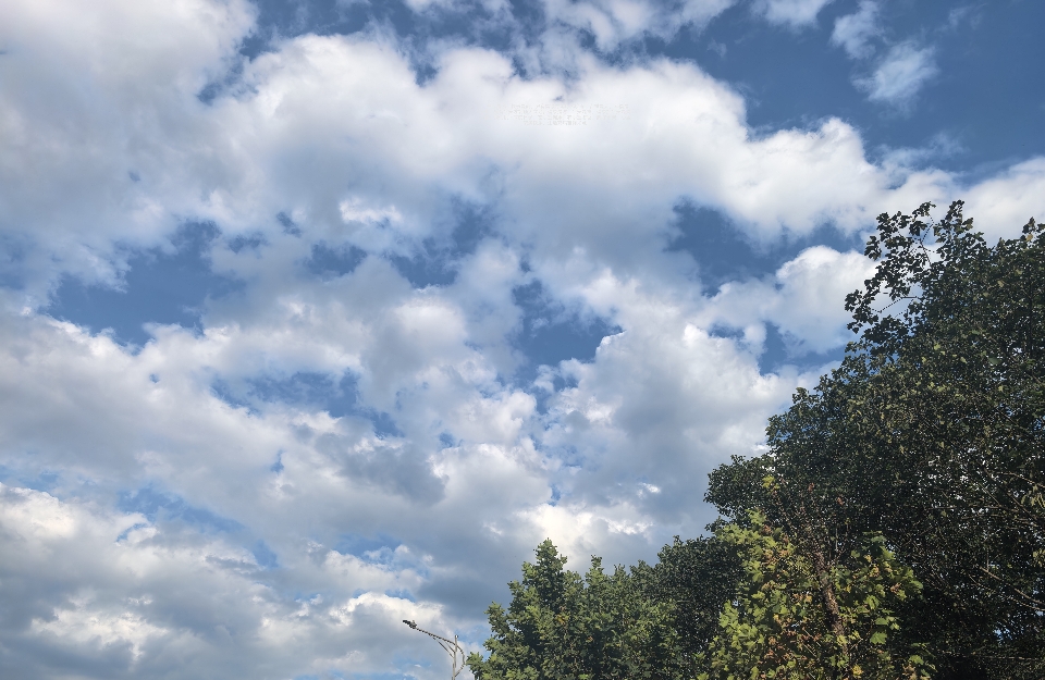 情愫自控：把好心情握在自己手里