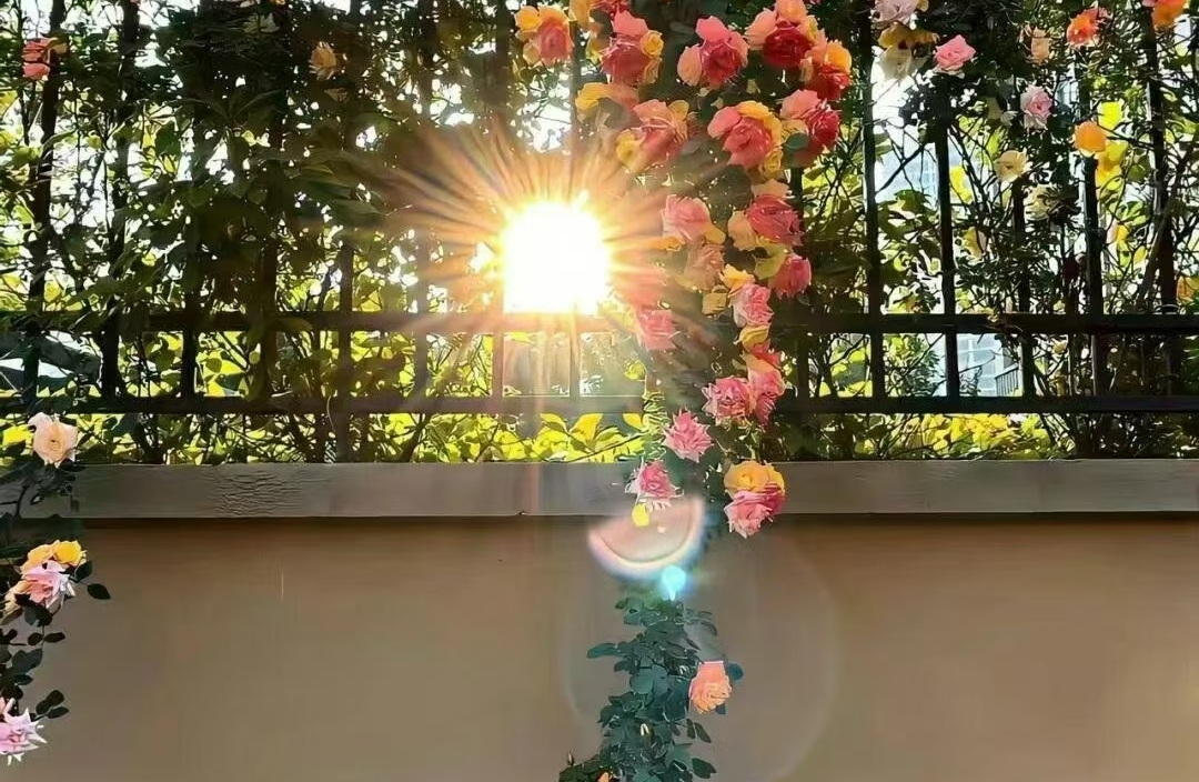 当婚姻失去新鲜感，该如何点燃彼此的热情？