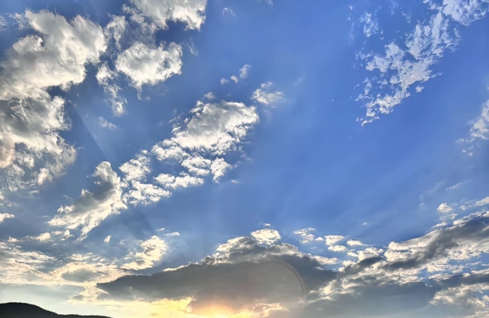 与NPD相处：守住边界，方得自在。