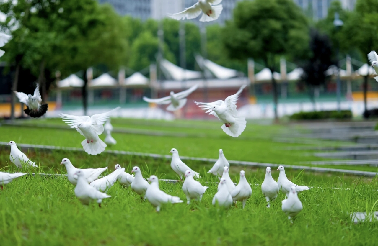 与孩子建立良好关系的12个方法