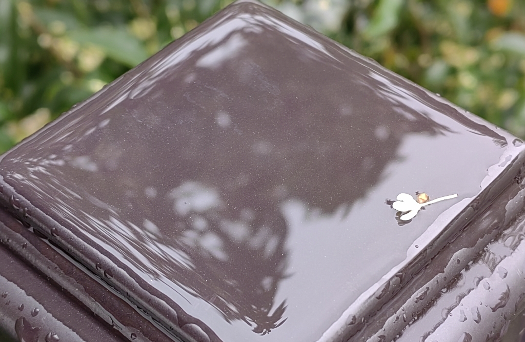 有时候我们为什么想要一个拥抱？