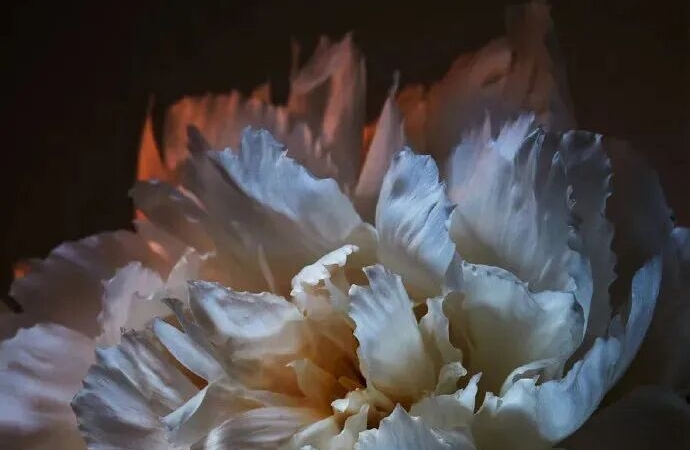 恋爱断联期：如何修复情绪并为挽回铺路