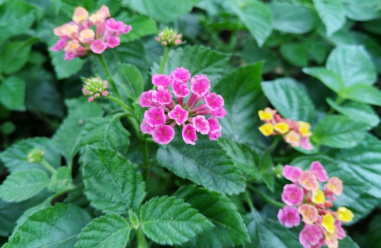 如何走出“无意义感”？