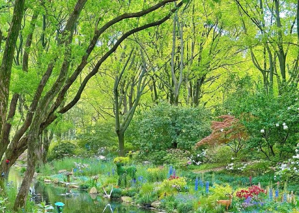 维护自己的情绪带给身体的好处