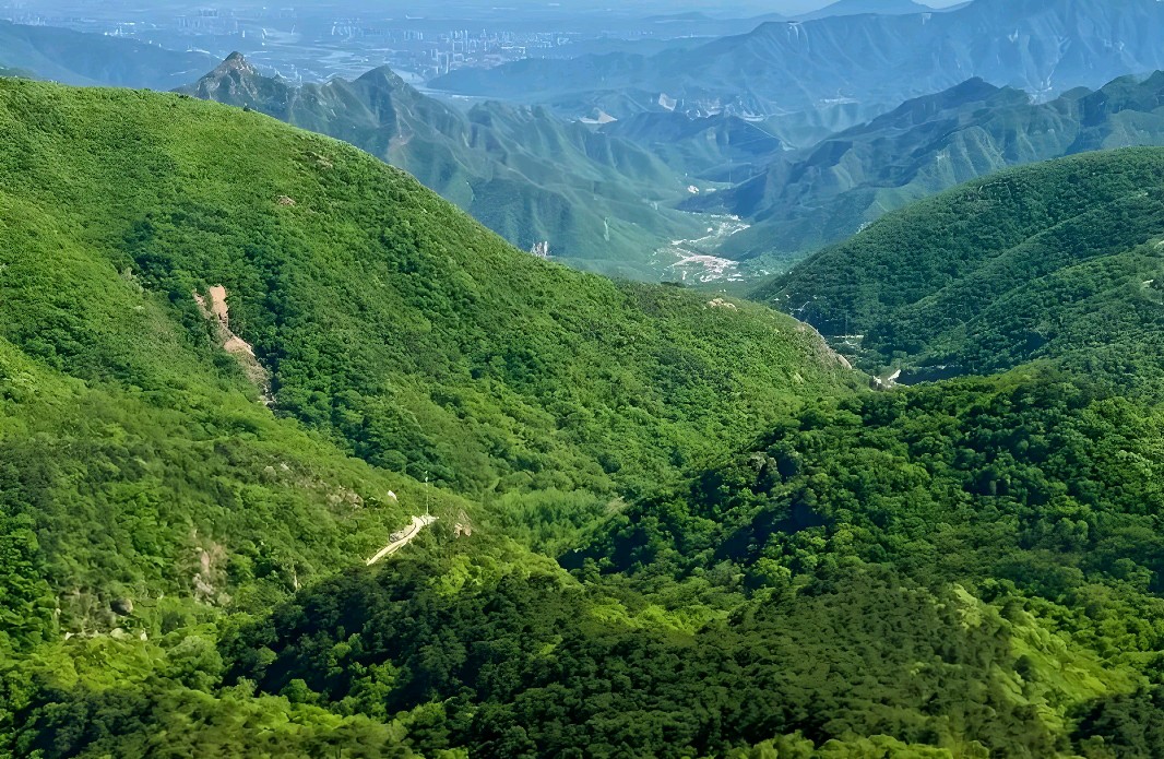 面对打压式伴侣该如何相处？