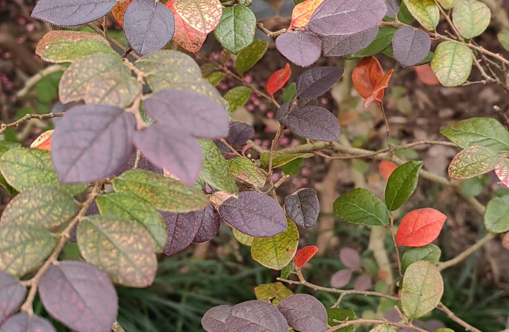 如何建立自己的耐心