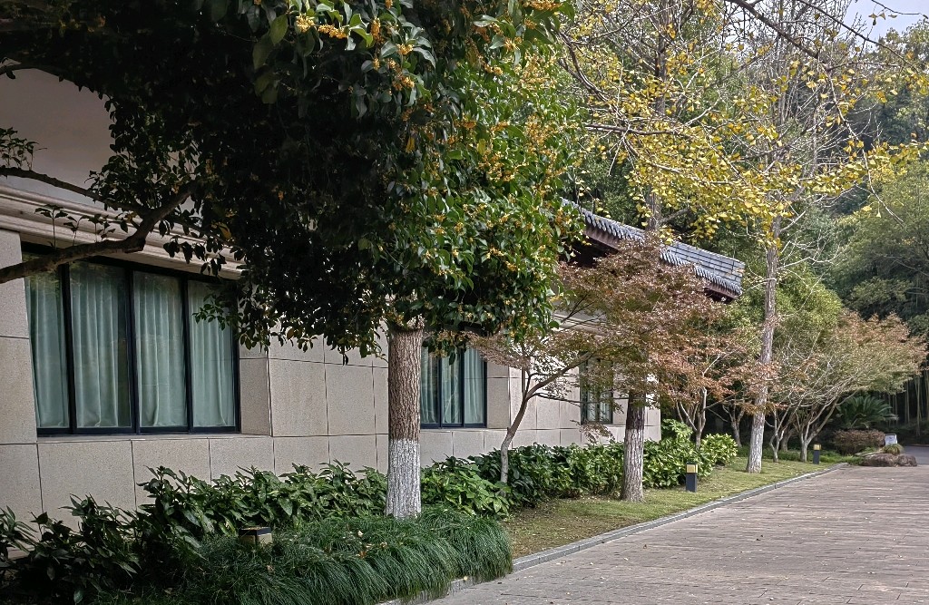 恋爱中对方爱问你在笑什么？是什么心理