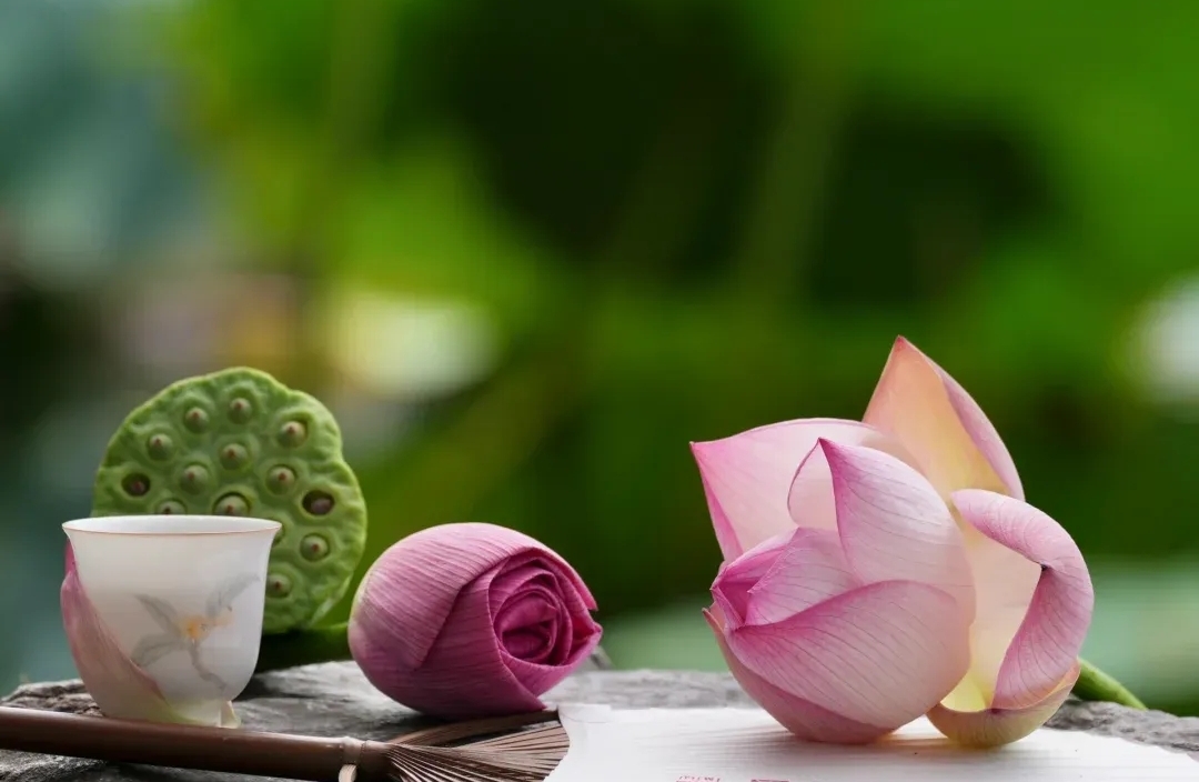 破镜重圆：四步重燃爱的火花