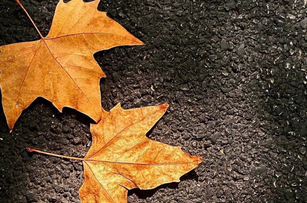 《朋友圈里的“甜柠檬”：我们为何越缺什么，越晒什么？》