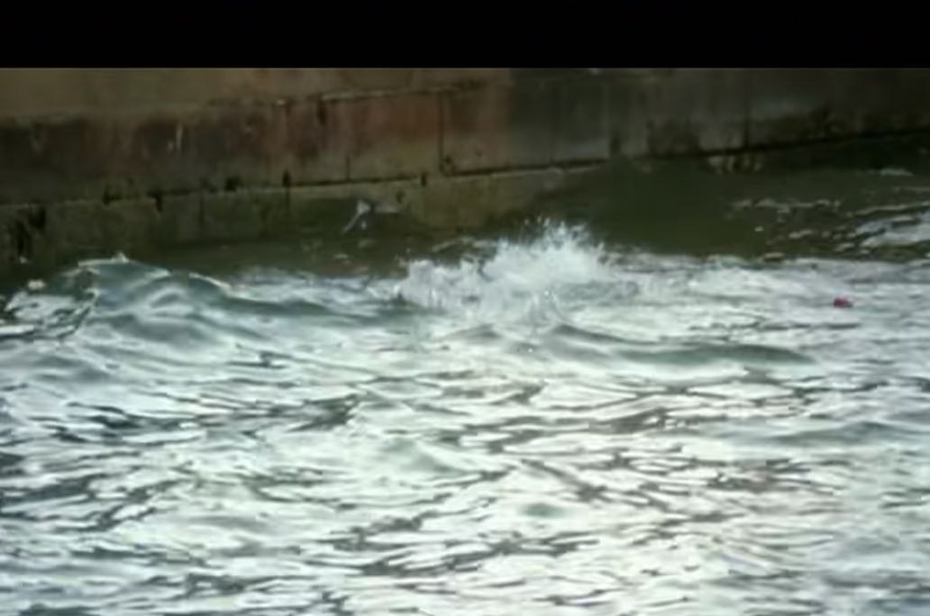 女人做哪些事？能把男人拿捏的死死的？