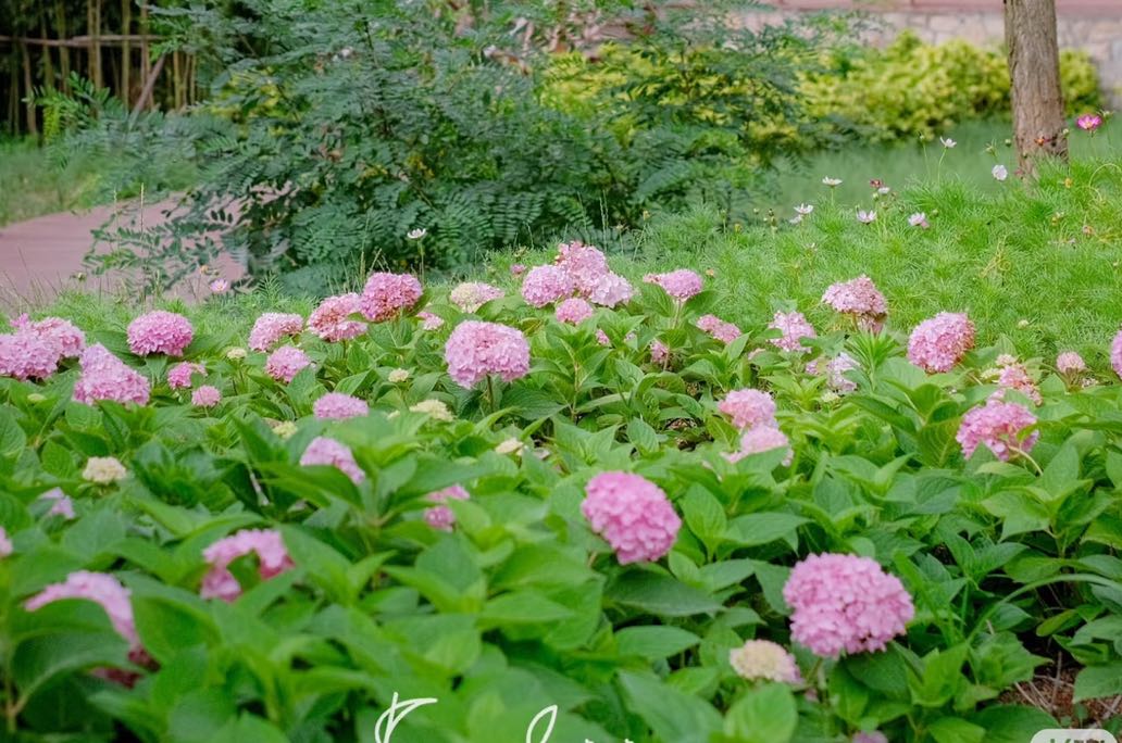 不再被情绪牵着走后，我终于找回了生活的掌控感