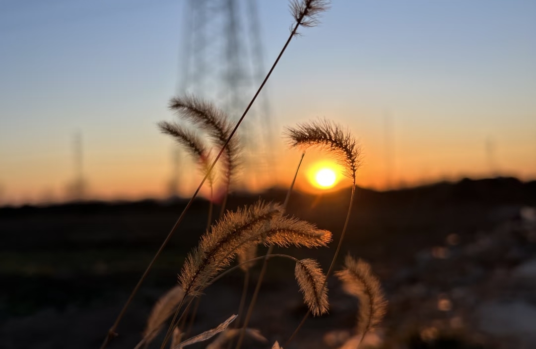 在忙碌的世界里，为自己留一盏温柔的灯