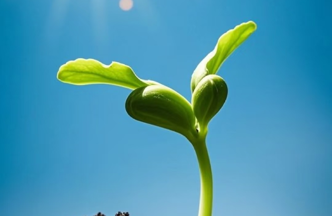 爱的温度，藏在日常的细节里