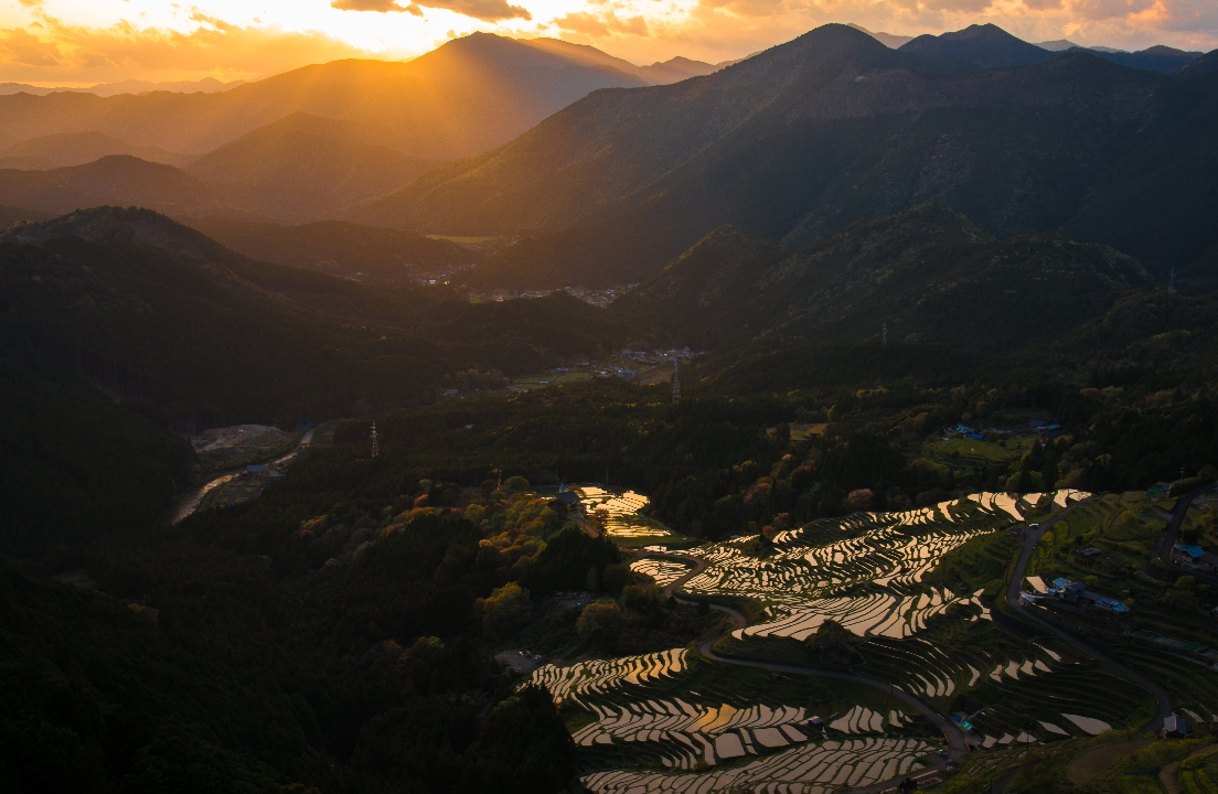 回避型依恋人格是怎么形成的呢？