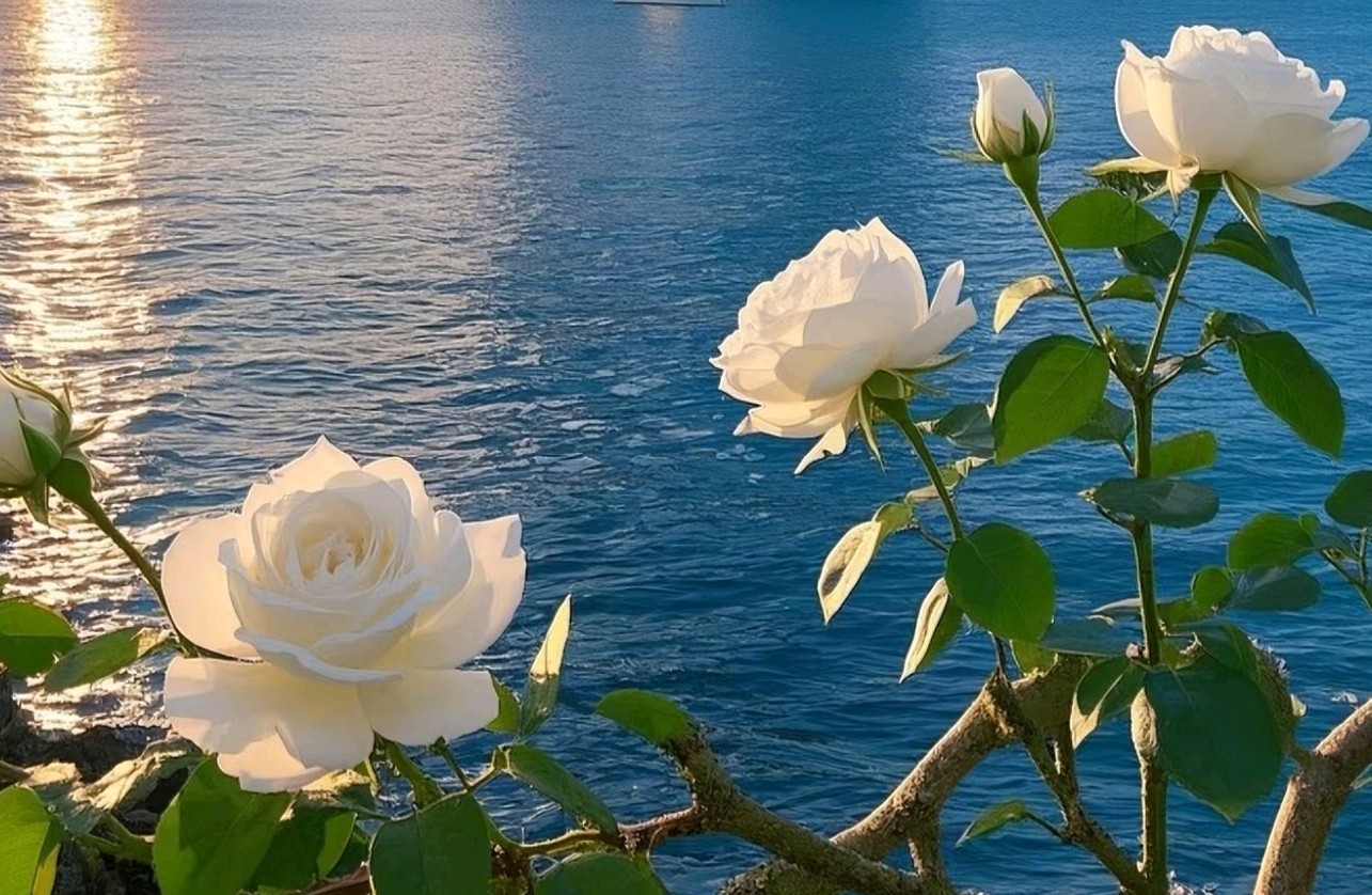 三步成为沟通高手：倾听、提问与复述