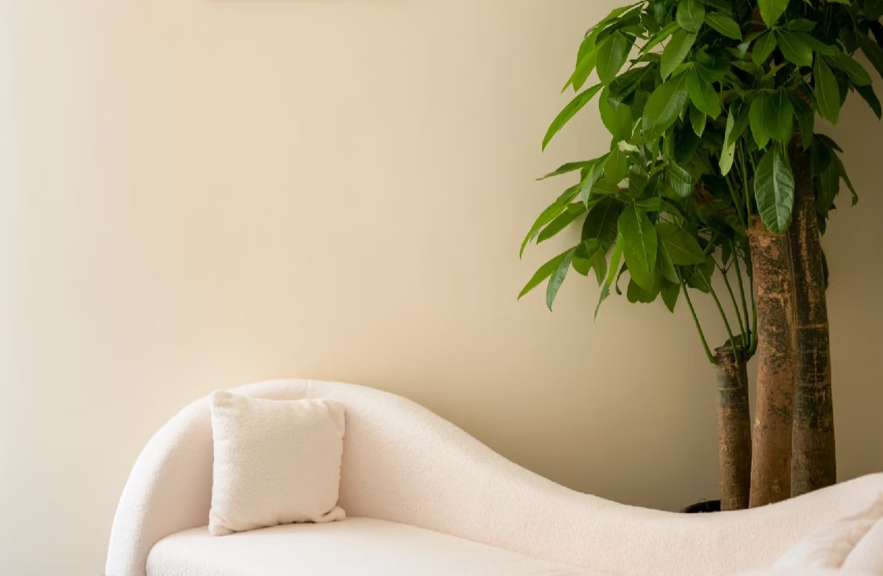 越长大越发现  情绪稳定是种难得的品质