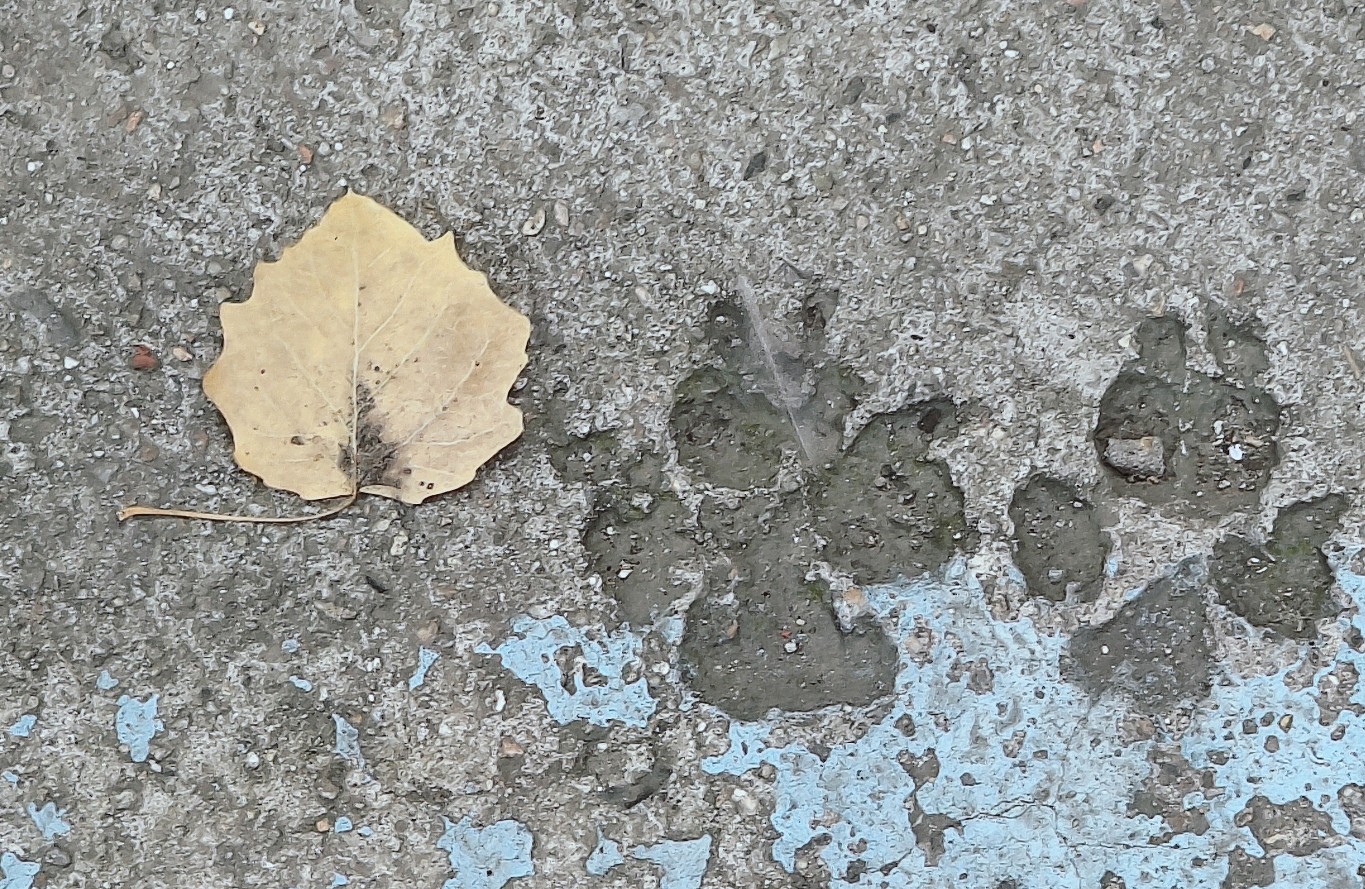 如何打破肥胖带来的自卑心理？